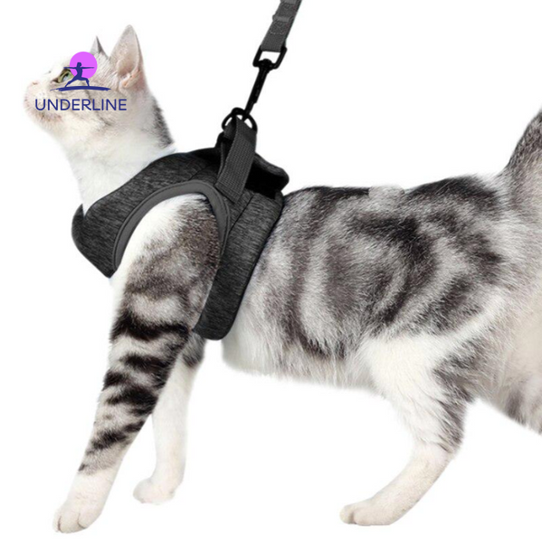 Регулируемый жилет шлейка с поводком для котов PR02-S фото