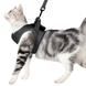 Регулируемый жилет шлейка с поводком для котов PR02-S фото 2