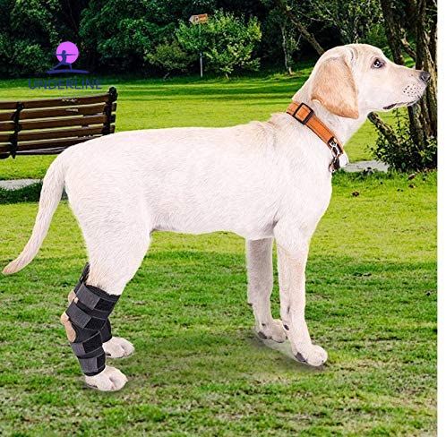 Бандаж для скакательного сустава и передних лап собак AB015-S фото
