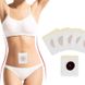 Пластырь для похудения Slimming Patch PT13 фото 2